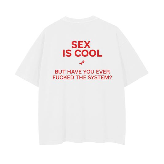 SEX IS COOL, BUT HAVE YOU EVER FUCKED THE SYSTEM T-shirt